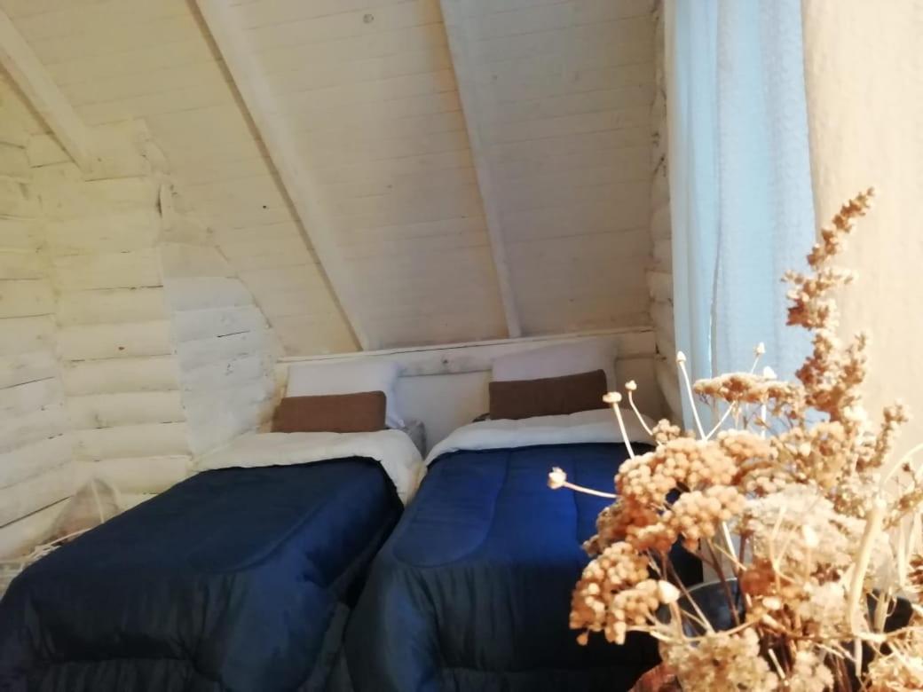 Cabana Azul Trevelín Eksteriør bilde